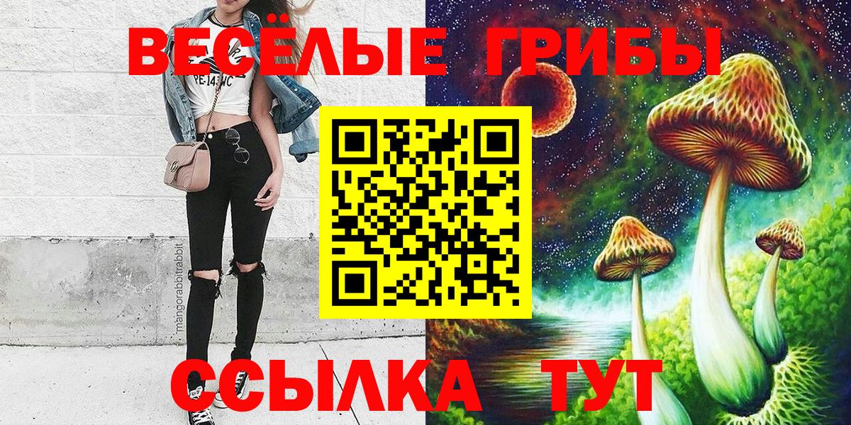 Галлюциногенные грибы Cubensis Крымск