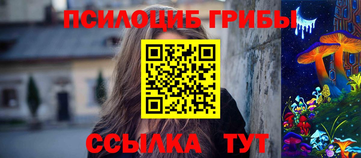 Крымск  Псилоцибиновые грибы Psilocybine cubensis  Вход с VPN 